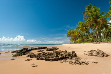 Taipu de Fora Plajı 'nda güneşli bir gün, Penisula de Marau, BA, Brezilya 22 Şubat 2008