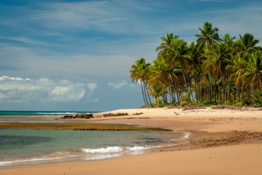 Taipu de Fora Plajı 'nda güneşli bir gün, Penisula de Marau, BA, Brezilya 22 Şubat 2008