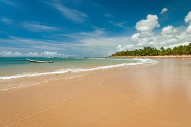 Taipu de Fora Plajı 'nda güneşli bir gün, Penisula de Marau, BA, Brezilya 22 Şubat 2008