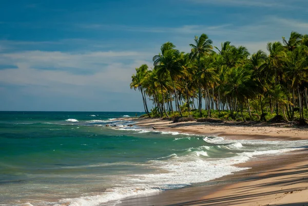 Cerah Hari Taipu Fora Beach Penisula Marau Brasil Pada Tanggal — Stok Foto