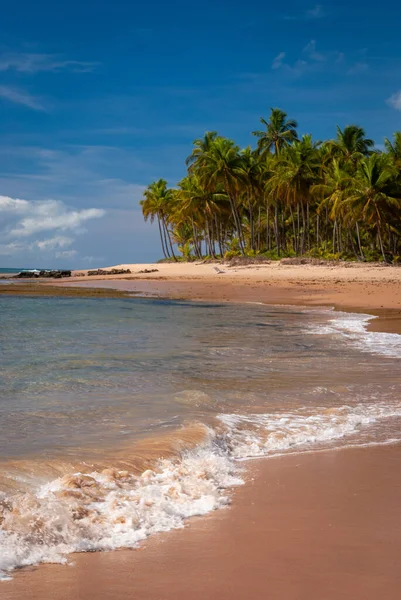 Cerah Hari Taipu Fora Beach Penisula Marau Brasil Pada Tanggal — Stok Foto