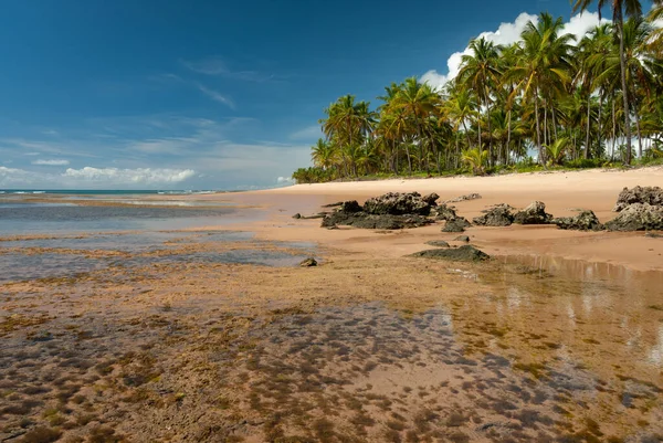 Cerah Hari Taipu Fora Beach Penisula Marau Brasil Pada Tanggal — Stok Foto