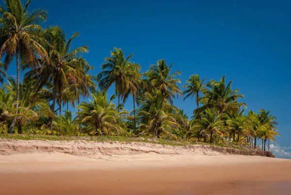 Cerah Hari Taipu Fora Beach Penisula Marau Brasil Pada Tanggal — Stok Foto