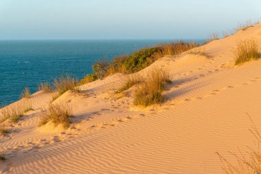 5 Eylül 2016 tarihinde Brezilya 'nın ünlü Ponta Grossa Beach, Icapui, Ceara kum tepesi manzarası. Arka planda deniz olan kum ve doğal bitki örtüsünün dokusunu vurgulamak