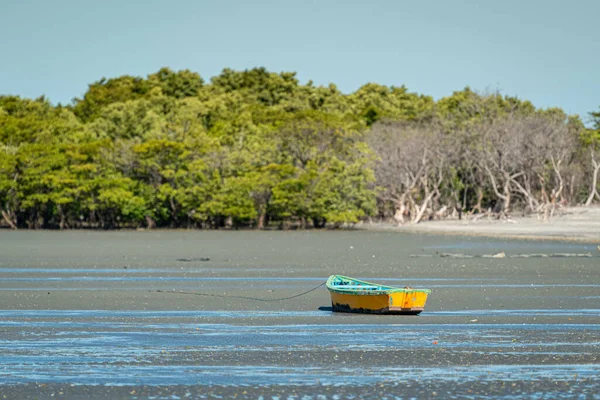 Лодка Мангровые Деревья Пляже Реквенгела Икапуи Сеара Бразилия Сентября 2016 — стоковое фото