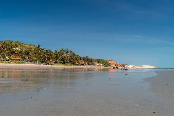 Cocotiers Maisons Été Peroba Plage Icapui Ceara Brésil Avril 2016 — Photo