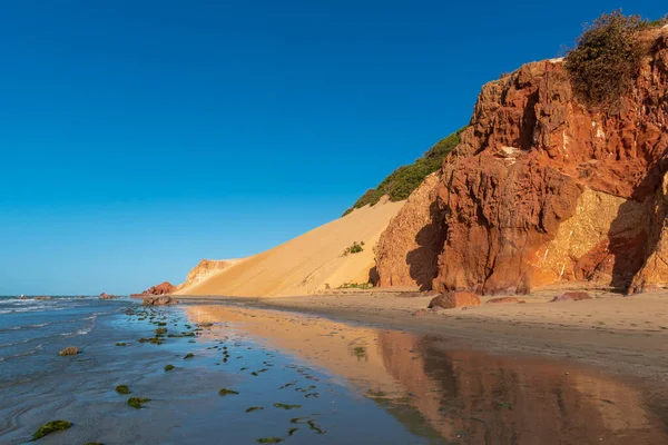 Duna Con Vegetazione Pomeriggio Sole Ponta Grossa Beach Icapui Ceara — Foto Stock