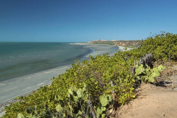 Ponta Grossa Beach Icapui Ceara Brasil Septiembre 2018 — Foto de Stock