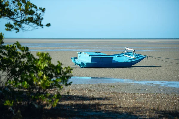 บเขาทรายส นมะพร าวในตอนเช าบนชายหาด Peroba Icapui Ceara บราซ ลเม เมษายน รูปภาพสต็อกที่ปลอดค่าลิขสิทธิ์