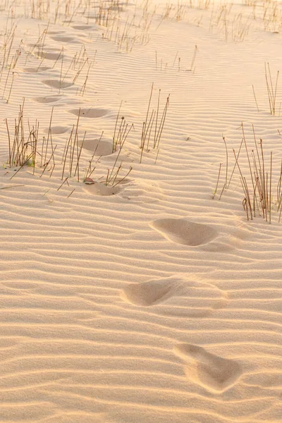 Footprints Sand Peroba Beach Icapui Ceara Brazil September 201 Stock Image