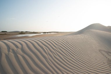 2 Eylül 2019 'da Tatajuba, Camocim, Ceara, Brezilya' daki Jericoacoara plajı yakınlarındaki kum tepeleri ve gölcükler