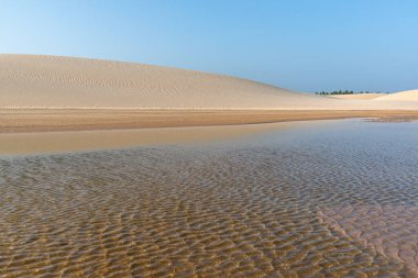 2 Eylül 2019 'da Tatajuba, Camocim, Ceara, Brezilya' daki Jericoacoara plajı yakınlarındaki kum tepeleri ve gölcükler