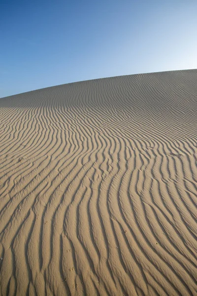 Dunes Lagoons Jericoacoara Beach Tatajuba Camocim Ceara Brazil September 2019 — Stock Photo, Image