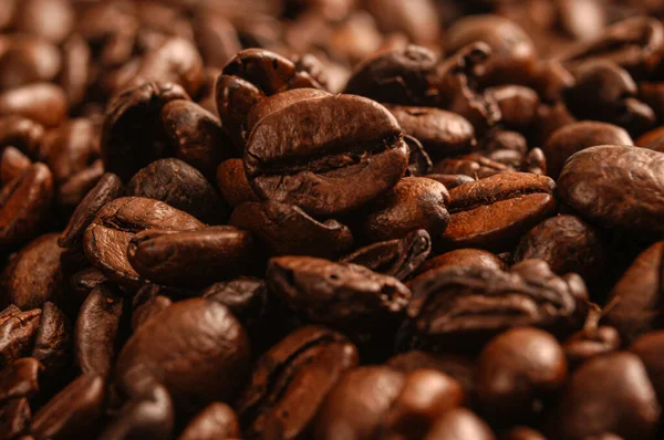 Coffee Beans Close Stock Image