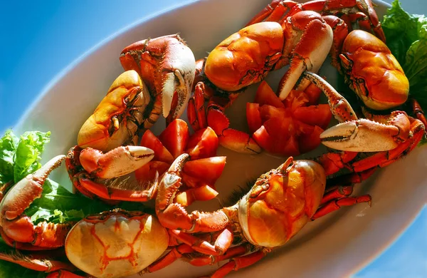 Gastronomy Dish Crabs Traditionally Prepared Only Water Salt Stock Image