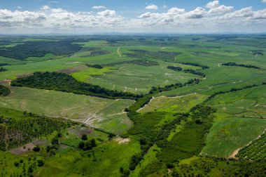 Brezilya 'nın Recife kenti yakınlarındaki Goiana şehrinde 1 Mart 2014 tarihinde tarım, şeker kamışı ekimi ve Atlantik ormanlarının kalıntıları. Hava görünümü