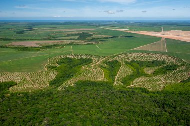 Brezilya 'nın Recife kenti yakınlarındaki Goiana şehrinde 1 Mart 2014 tarihinde tarım, şeker kamışı ekimi ve Atlantik ormanlarının kalıntıları. Hava görünümü