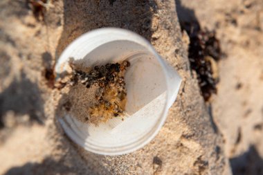 29 Eylül 2012 'de Brezilya' nın Paraiba şehrinin Joao Pessoa kenti yakınlarındaki Poco plajında kirliliğe yol açan tek kullanımlık plastik bardak.