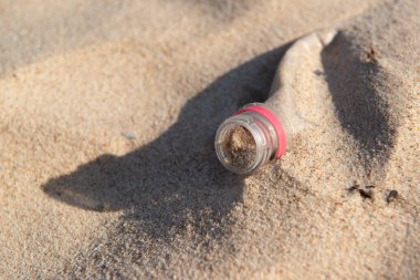 29 Eylül 2012 'de Brezilya' nın Paraiba kentinin Joao Pessoa kenti yakınlarındaki Poco plajında kirliliğe yol açan plastik şişe.