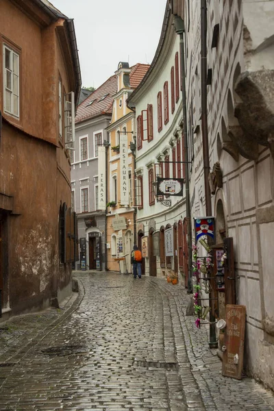 Çek Cumhuriyeti Cesky Krumlov Yağmurlu Bir Gün — Stok fotoğraf