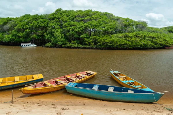Rivière Guaju Plage Sagi Baia Formosa Près Plage Natal Pipa — Photo
