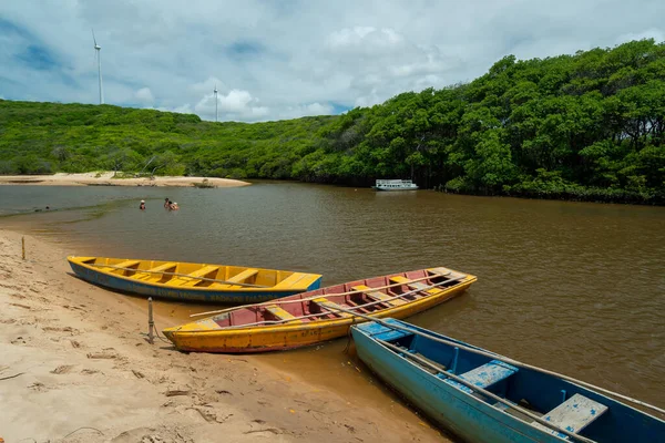 Rivière Guaju Plage Sagi Baia Formosa Près Plage Natal Pipa — Photo