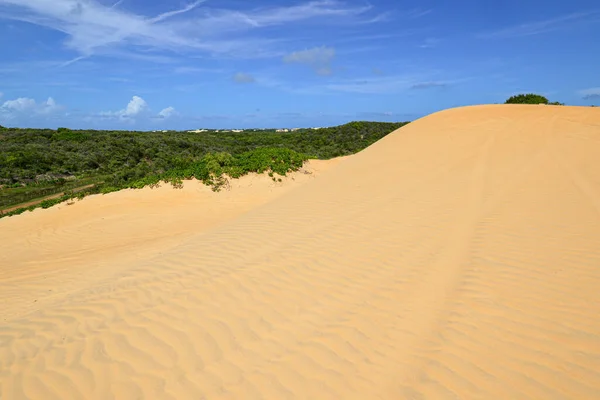 Pitangui Duinen Extremoz Nabij Natal Rio Grande Norte Brazilië Februari — Stockfoto