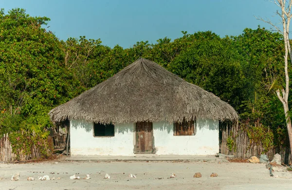 Typisch Rieten Huis Waar Een Deel Van Inheemse Bevolking Woont — Stockfoto