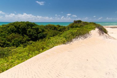 Malemba kum tepeleri, Pipa plajı, Tibau do sul, Natal yakınlarında, Rio Grande do Norte, Brezilya 25 Eylül 2016