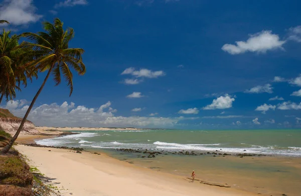 Pantai Chalk Tibau Sul Dekat Natal Rio Grande Norte Brasil — Stok Foto