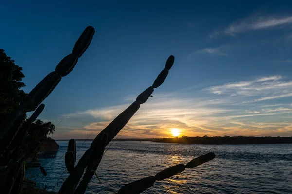 Nisan 2015 Brezilya Nın Guarairas Gölü Tibau Sul Pipa Plajı — Stok fotoğraf