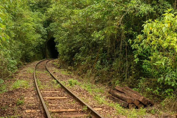 Railway crossing forest near the entrance to the powerhouse tunnel in Bento Goncalves, Rio Grande do Sul, Brazil on November 19, 2017