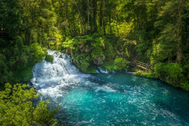 Ojos del Caburgua şelalesi birçok turistin Pucon bölgesine çekildiği güzel bir tefekkür yeridir..