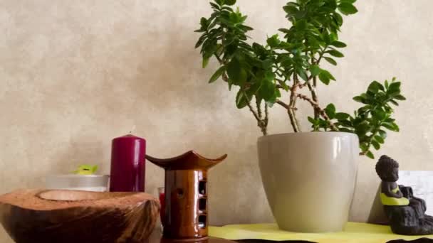 Verplaats langs de tafel. uitzicht beweegt langs een versierde tafel met plant — Stockvideo
