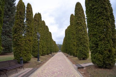 Kislovodsk. Park 'ta. Bahar. Rahatlama