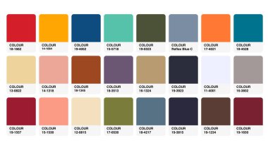 Renk Paleti Kataloğu RGB Örnek Vektörü