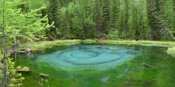Altai Dağları 'nda inanılmaz renkli bir gayzer gölü var. Gölün dibinden anahtarlara vurdu. Yüzeye mavi kil daireler çizip süslü desenler yaratıyorlar..