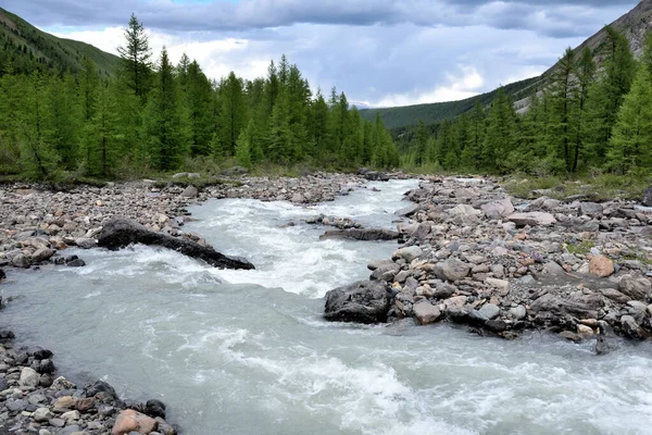 Kuzey Chuysky Sıradağları, Altai Dağları. Aktru Nehri 'nin güç kaynakları karları ve buzulları eritiyor..