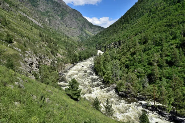 Altai Rezervi 'ndeki Chulcha Nehri Vadisi. Dağ yolu Uchar Şelalesi 'ne çıkıyor..