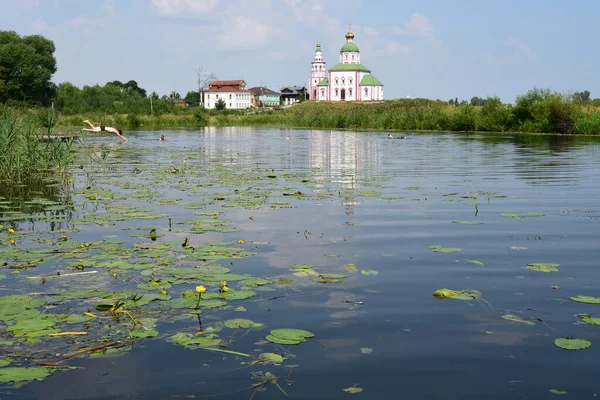 Güneşli bir yaz gününde nilüferlerle dolu bir nehir..