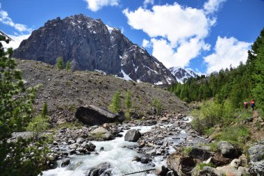 Altai dağlarındaki Aktru buzulundan akan bir nehir..