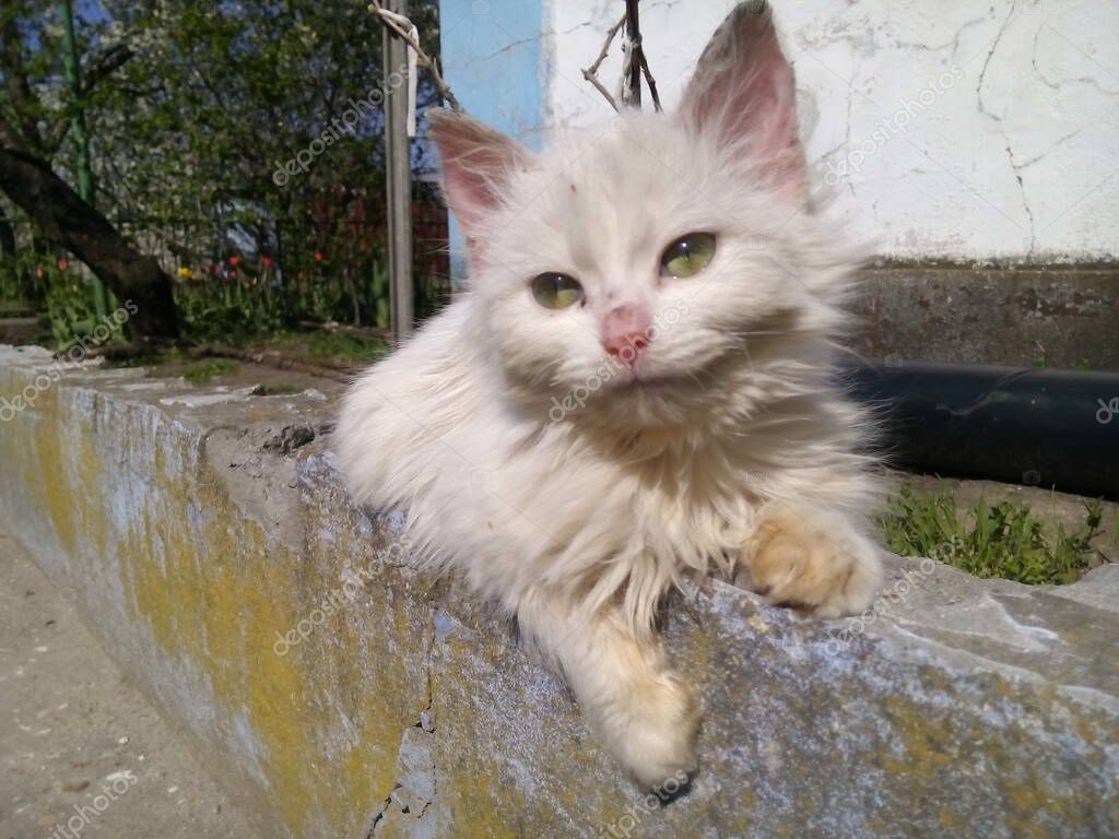 Natalyra