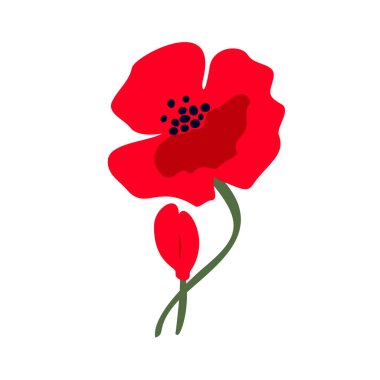 Beyaz arka planda izole edilmiş parlak kırmızı gelincik çiçeğinin vektör çizimi. Uluslararası Anma Günü 'nün sembolü. Anzak günü sembolü. Vektör illüstrasyonu.