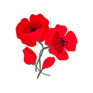 Beyaz arka planda izole edilmiş parlak kırmızı gelincik çiçekleri olan kompozisyon. Uluslararası Anma Günü 'nün sembolü. Anzak günü sembolü. Vektör illüstrasyonu.