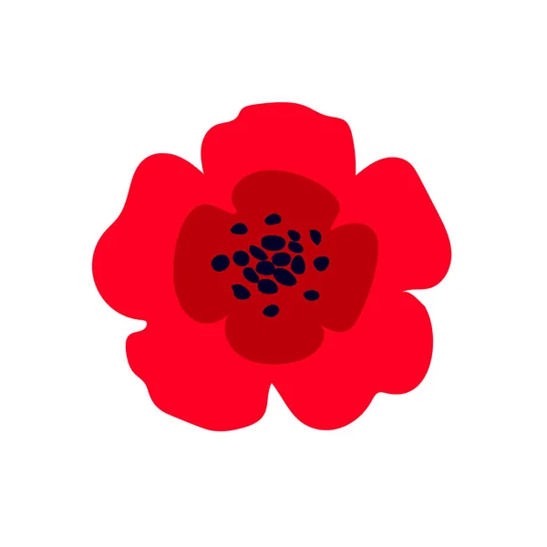 Illustration Vectorielle Une Fleur Pavot Rouge Vif Isolée Sur Fond — Image vectorielle