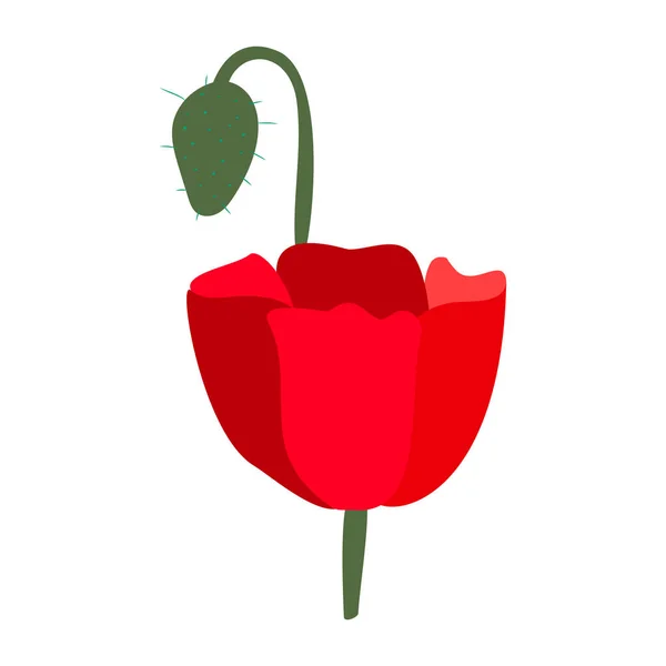 Vektor Illustration Ljus Röd Vallmo Blomma Isolerad Vit Bakgrund Symbol — Stock vektor