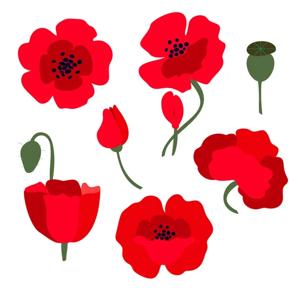 Set Bright Red Poppy Flower Symbol International Day Remembrance Anzac — Stock Vector