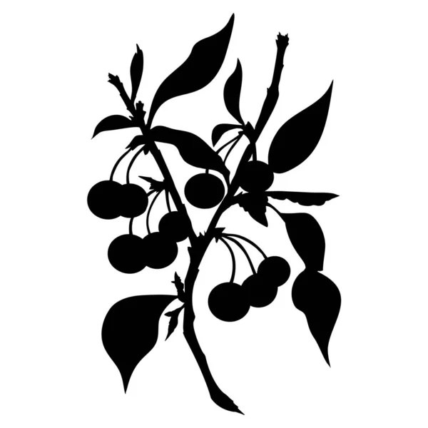 나무의 실루엣 열매와 배경에 분리되어 모노크롬 디자인 정원에서 제품이야 식물적 — 스톡 벡터
