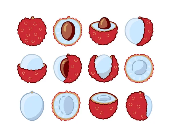 设置不同的手绘亮色图标荔枝水果分离的白色背景 甜甜的热带水果 简朴简朴的简朴风格 标志设计 矢量说明 — 图库矢量图片