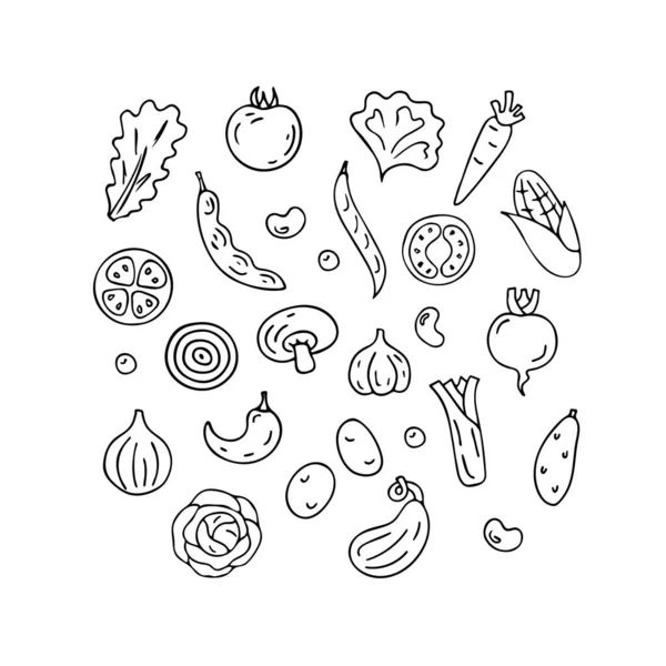 Набор Рисованных Вручную Овощных Элементов Изолирован Белом Фоне Концепция Фермерского — стоковый вектор